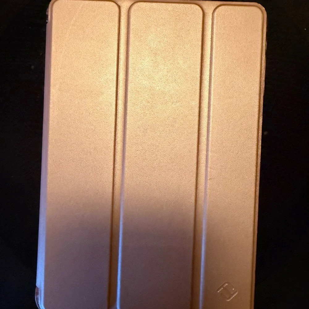iPad Mini 3 with case included (16GB)